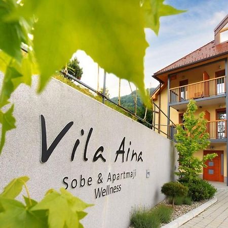 Villa Aina Boutique Hotel Laško Eksteriør billede