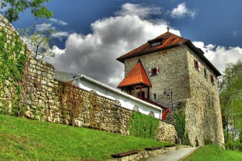 Villa Aina Boutique Hotel Laško Eksteriør billede