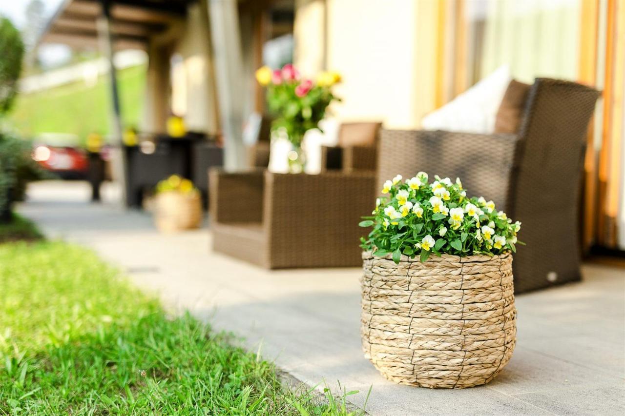 Villa Aina Boutique Hotel Laško Eksteriør billede