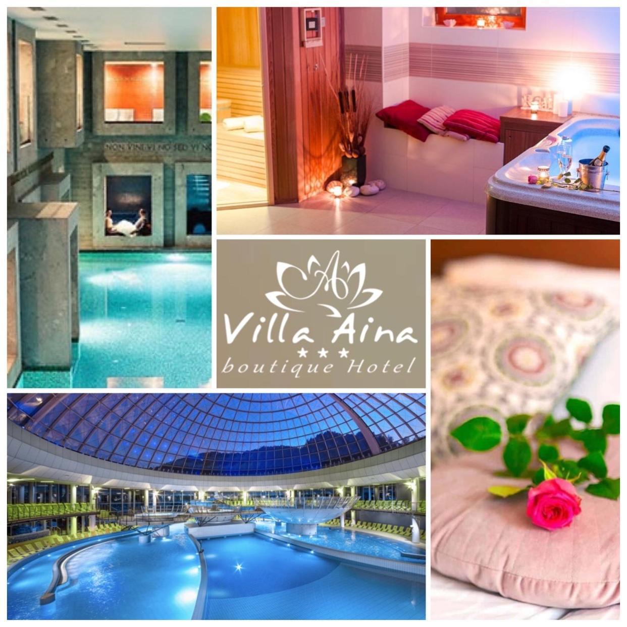 Villa Aina Boutique Hotel Laško Eksteriør billede